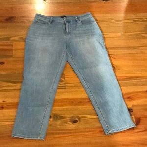 Ann Taylor Denim 10